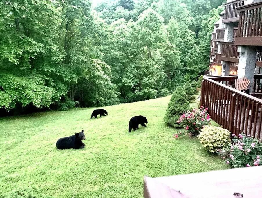 Views & Fireplace - Minutes To Gburg And Ober - Condo Gatlinburg Luaran gambar